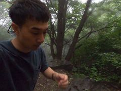 -阳台山自然风景区