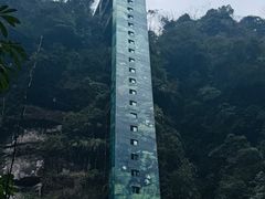 -碧峰峡风景区