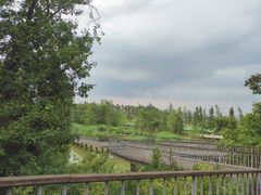 -白鹭湾湿地公园