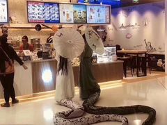 -成都濑川外国语学校