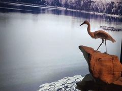 -罍+村(半边街店)