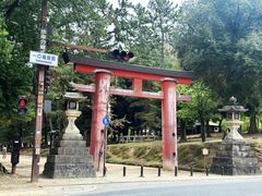 -奈良公园