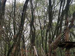 -WeLope紫金山探险公园