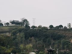 -重庆园博园