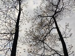 -杭州半山国家森林公园