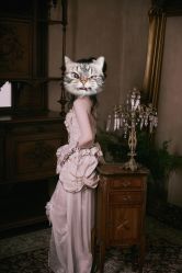 -WAVE SODA摄影工作室