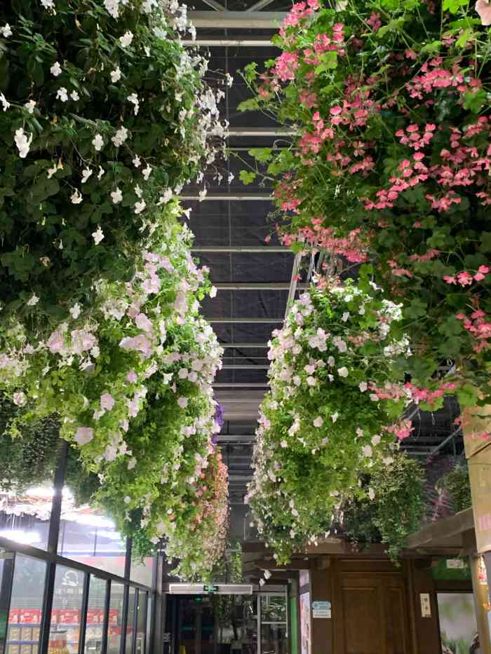 常州花鸟园生态酒店(品牌优选店)-"一周之前就查西太湖,那家酒店好吃