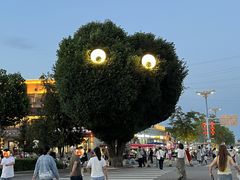 -特克斯八卦城