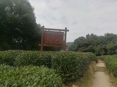 -西湖风景区十里琅珰-五云山