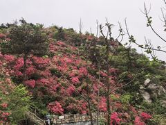 -木兰云雾山