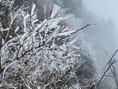 -秦岭天竺山生态文化旅游景区