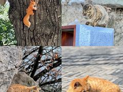 -终南山南五台景区