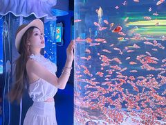 -海合安成都极地海洋公园