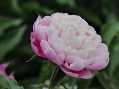 -北京奥林匹克公园