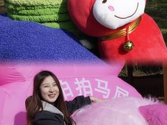 -中国西峡恐龙遗迹园