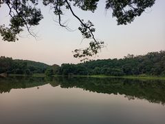 -南宁良凤江国家森林公园