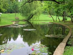 -上海共青森林公园