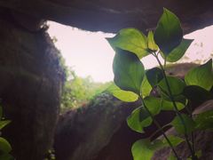 -云洞岩风景区