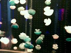 -多彩贵州城极地海洋世界