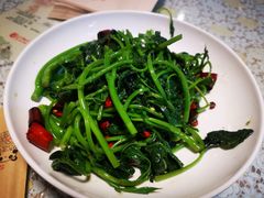 -文三里屯面馆(三里屯店)