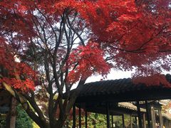 -无锡惠山寺