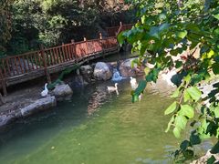 -云丘山景区