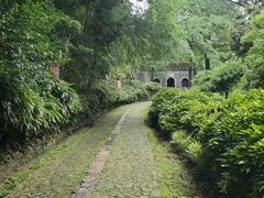 -镇江市南山风景名胜区竹林景区