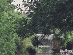 -八大山人梅湖景区