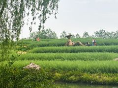 -乌村