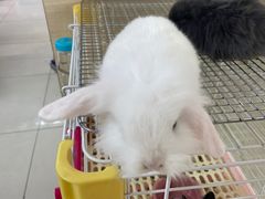 -三旗百汇商品城