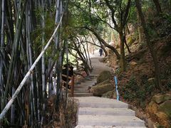 -火炉山森林公园