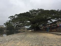 -福建土楼(南靖)景区