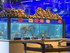 -日进一片海.生腌海鲜火锅.宵夜烧烤(三里屯总店)