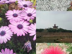 -东莞植物园