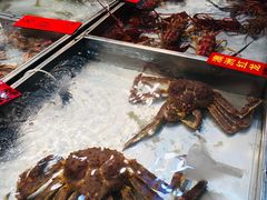 -湛江渔港·大排档(乐园路总店)