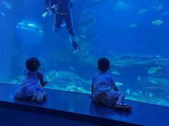 -多彩贵州城极地海洋世界