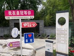 -朝阳沟