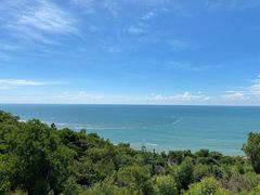 -广东惠东海龟国家级自然保护区
