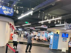 -世界之窗阿尔卑斯冰雪世界