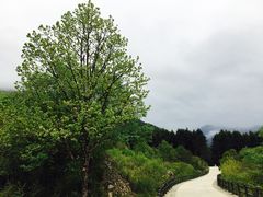 -石棉县孟获城