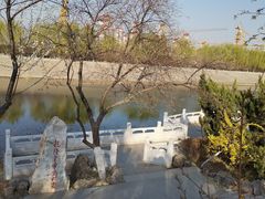 -桃花堤公园