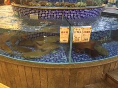 水产区-太子园林酒家
