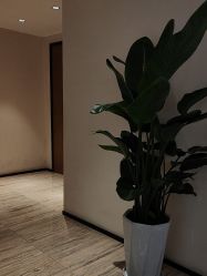 -四川米兰柏羽医学美容医院