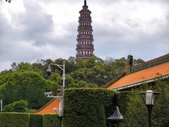 -顺峰山公园