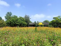 -乌石塘景区