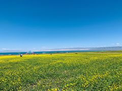-青海湖国家重点风景名胜区