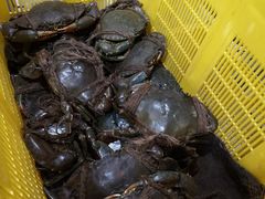 -龙海鲜螃蟹王(宏茂桥店)