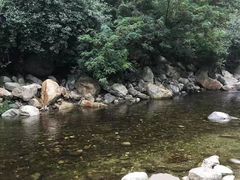 -沣峪口