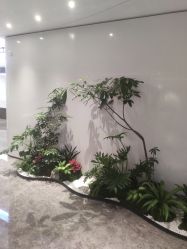 -广州美莱医疗美容医院