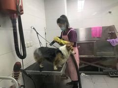 -达爱动物医院·犬猫分区·CT·复杂眼科(远洋山水分院)